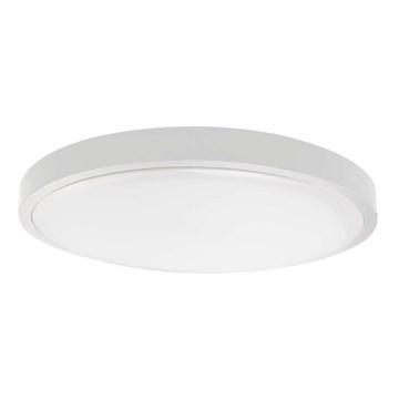 LED Vannas istabas griestu lampa SAMSUNG CHIP LED/36W/230V IP44 3000K d. 35 cm balta