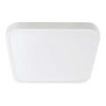 LED Vannas istabas griestu lampa SAMSUNG CHIP LED/48W/230V IP44 3000K 42x42 cm balta