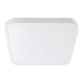 LED Vannas istabas griestu lampa SAMSUNG CHIP LED/48W/230V IP44 6500K 42x42 cm balta