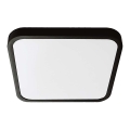 LED Vannas istabas griestu lampa SAMSUNG CHIP LED/48W/230V IP44 6500K 42x42 cm melna