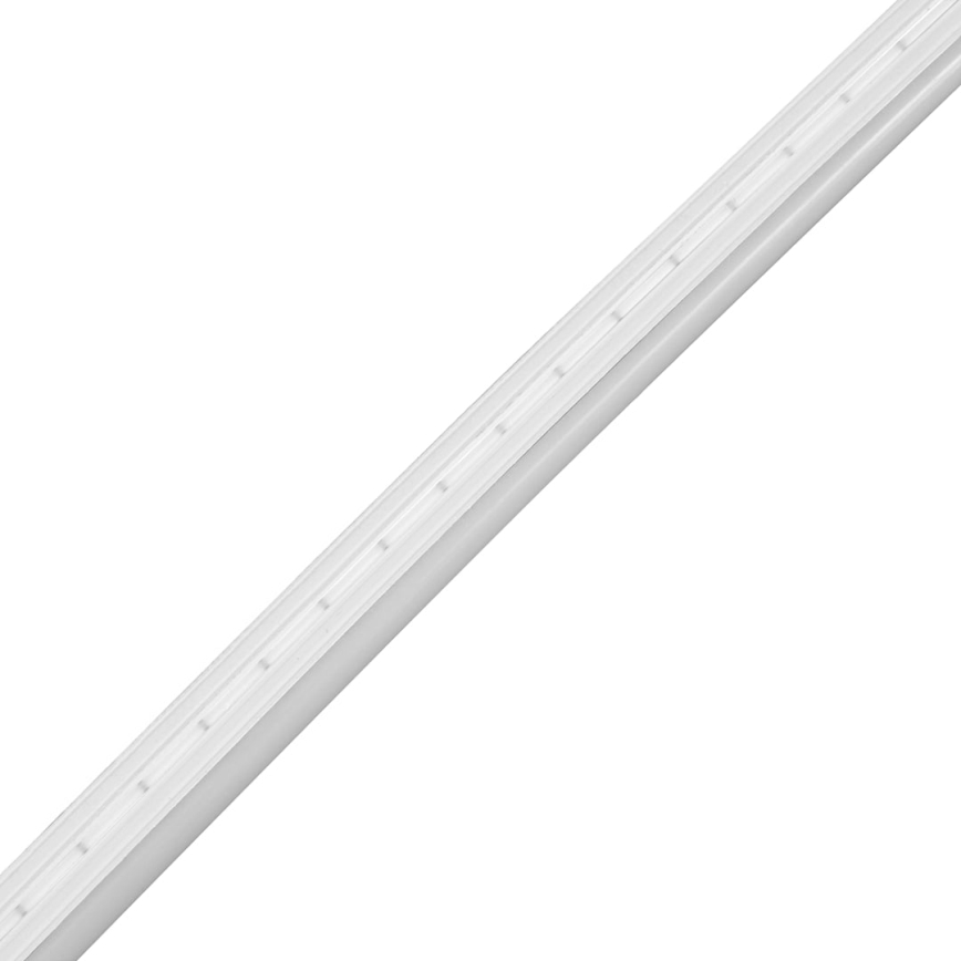 LED Vannas istabas josla NEON EKO-FLEX LED/250W/12V 4000K IP65 25m balta