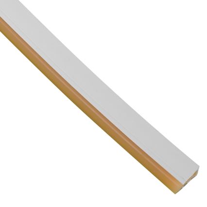 LED Vannas istabas josla NEON EKO-FLEX LED/250W/12V IP65 25m oranža