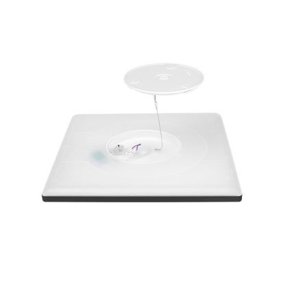 LED Vannas istabas lampa ar kustības un krēslas sensoru NIVERA LED/24W/230V IP54 3000/4000/6000K 30x30 cm melna + tālvadības pults