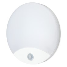 LED Vannas istabas lampa ar sensoru ORBIS LED/10W/230V IP44