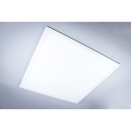 LED Vannas istabas virsapmetuma panelis LED/40W/230V 4000K 59,5x59,5 cm IP65 balta