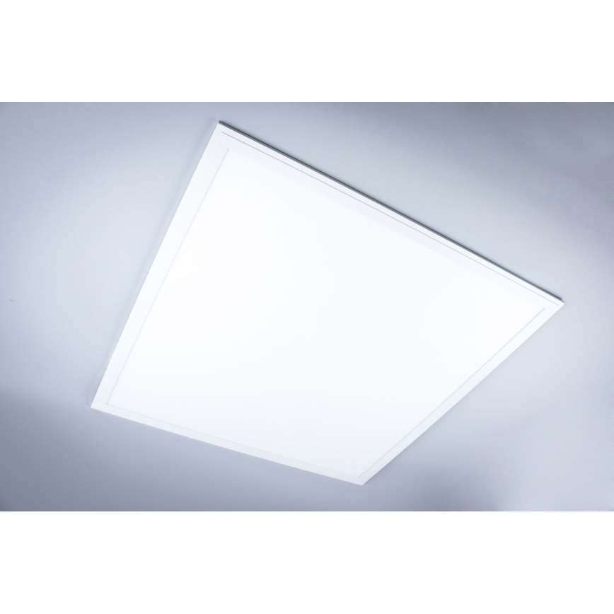 LED Vannas istabas virsapmetuma panelis LED/40W/230V 4000K 59,5x59,5 cm IP65 balta