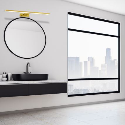 LED vannas istabas spoguļa apgaismojums SHINE, 13,8 W, 230 V, 60 cm, IP44, zelta