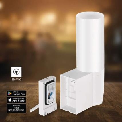 LED Viedā āra kamera ar lampu GoSmart LED/12W/230V IP65 Wi-Fi Tuya balta