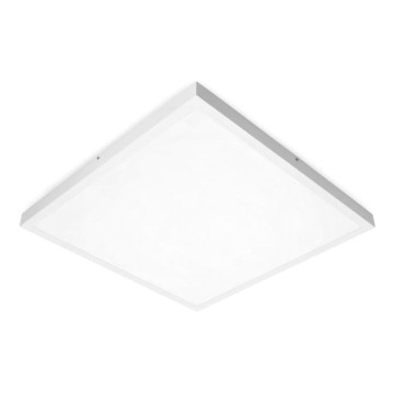 LED Virsapmetuma panelis BRISBANE LED/36W/230V 4000K 59,5x59,5 cm balta