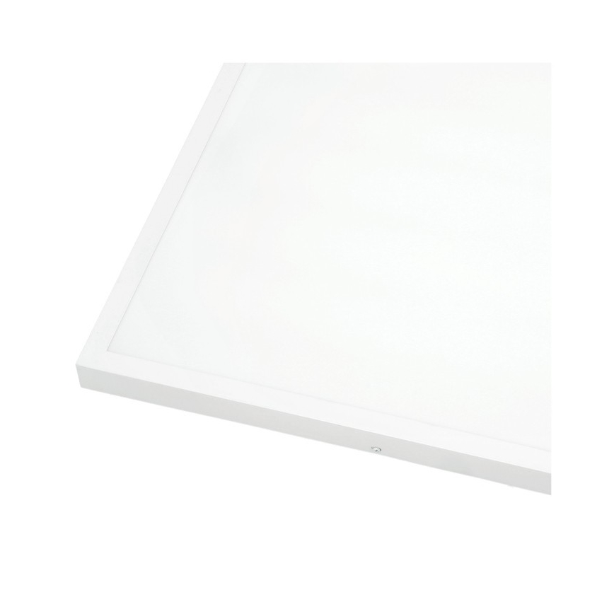 LED Virsapmetuma panelis BRISBANE LED/36W/230V 4000K 59,5x59,5 cm balta