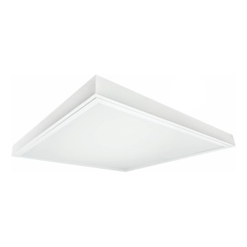 LED Virsapmetuma panelis ILLY LED/36W/230V