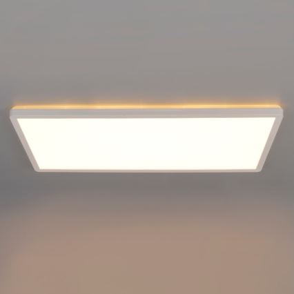 LED Virsapmetuma panelis NIVERA LED/32W/230V IP54 3000/4000/6000K 29,5x59,5 cm balta