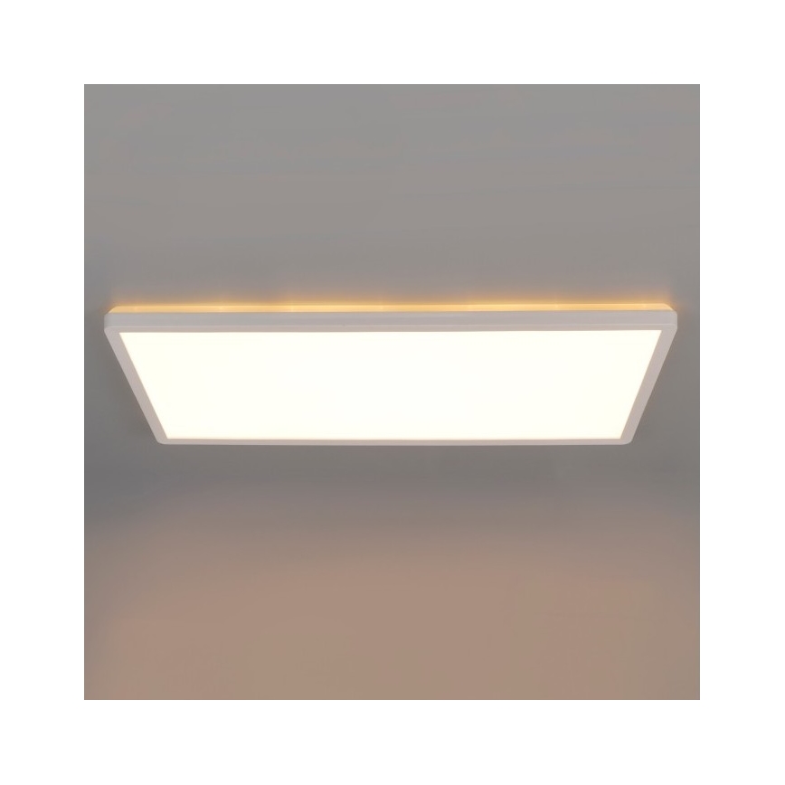 LED Virsapmetuma panelis NIVERA LED/32W/230V IP54 3000/4000/6000K 29,5x59,5 cm balta