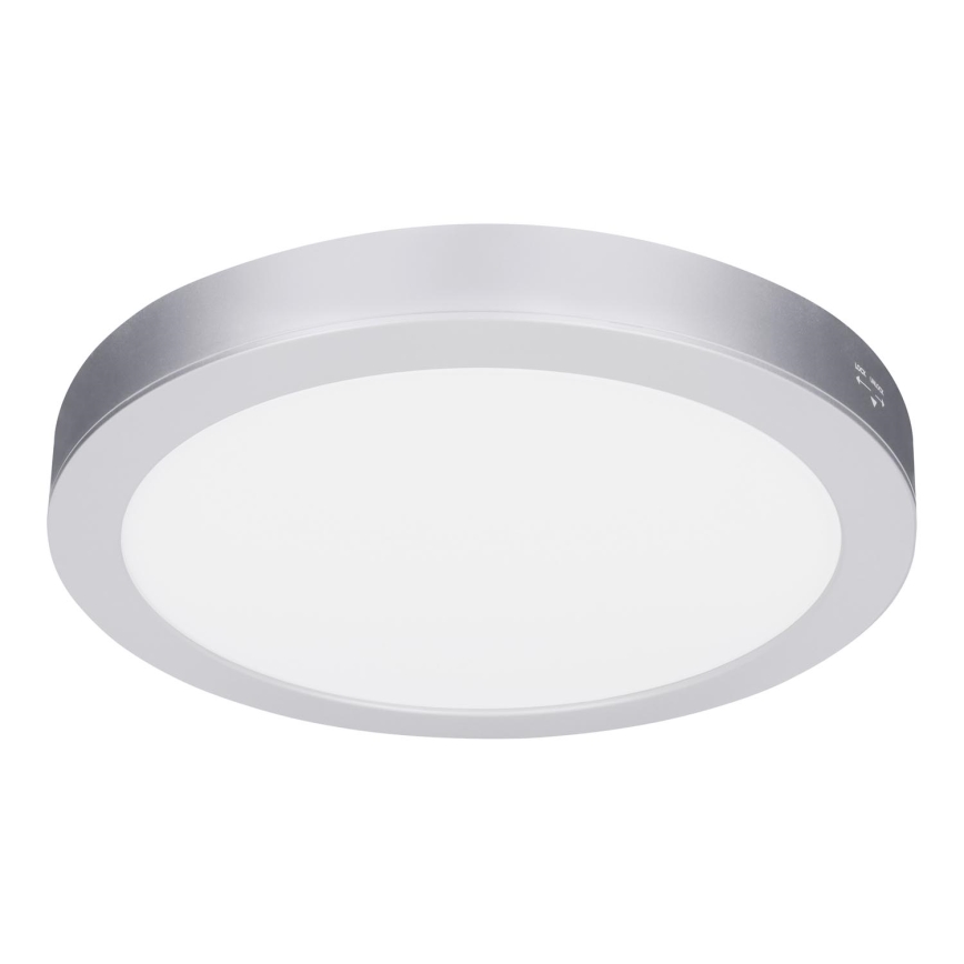 LED virsmas/iebūvējamais panelis 2 vienā 18W/230V 3000/4000/6000K Ø 22,5 cm IP54 sudraba