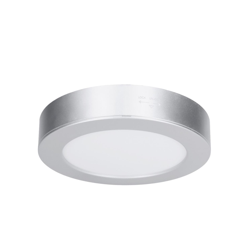 LED virsmas/iebūvējamais panelis 2in1 LED/12W/230V 3000/4000/6000K Ø17 cm IP54 sudraba