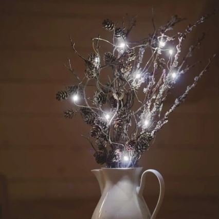 LED  virtene 20xLED/2xAA 2,4m auksti balta