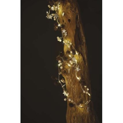 LED virtene 20xLED/2xAA, 2 m