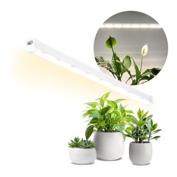 LED Virtuves zem skapīša lampa augu audzēšanai GROWLY LED/15W/230W