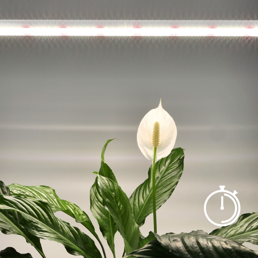 LED Virtuves zem skapīša lampa augu audzēšanai GROWLY LED/15W/230W