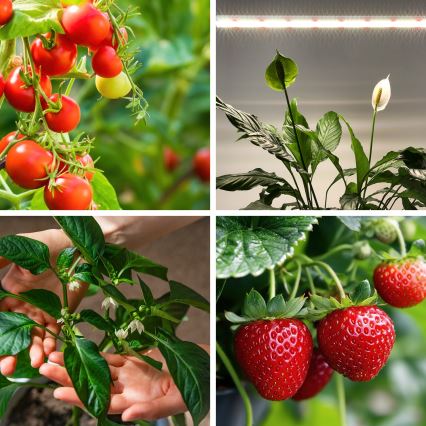 LED Virtuves zem skapīša lampa augu audzēšanai GROWLY LED/15W/230W