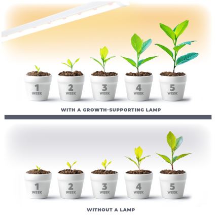 LED Virtuves zem skapīša lampa augu audzēšanai GROWLY LED/15W/230W
