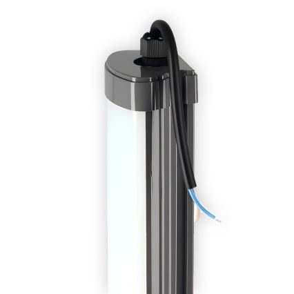 LED Virtuves zem skapīša lampa LED/60W/230V 6000K 120 cm IP65 melna
