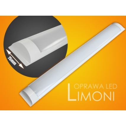 LED Virtuves zem skapīša lampa LIMONI LED/40W/230V 3000K 120 cm