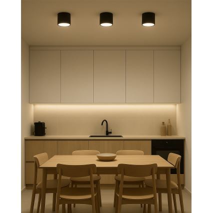 LED virziena gaismeklis LED/10W/230V 3000/4000/6400K Ø 12 cm melns