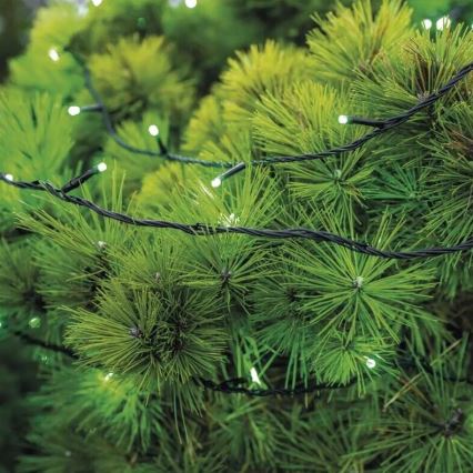 LED Ziemassvētku āra virtene 100xLED/10m IP44 zaļa