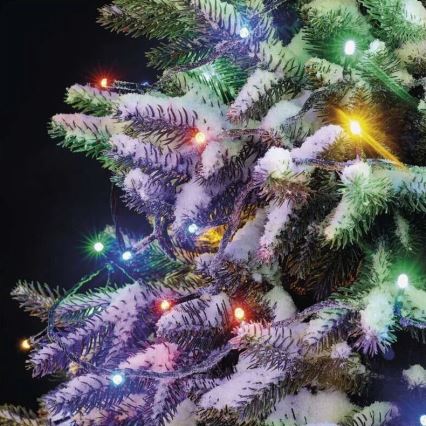 LED Ziemassvētku āra virtene 50xLED/5m IP44 daudzkrāsaina