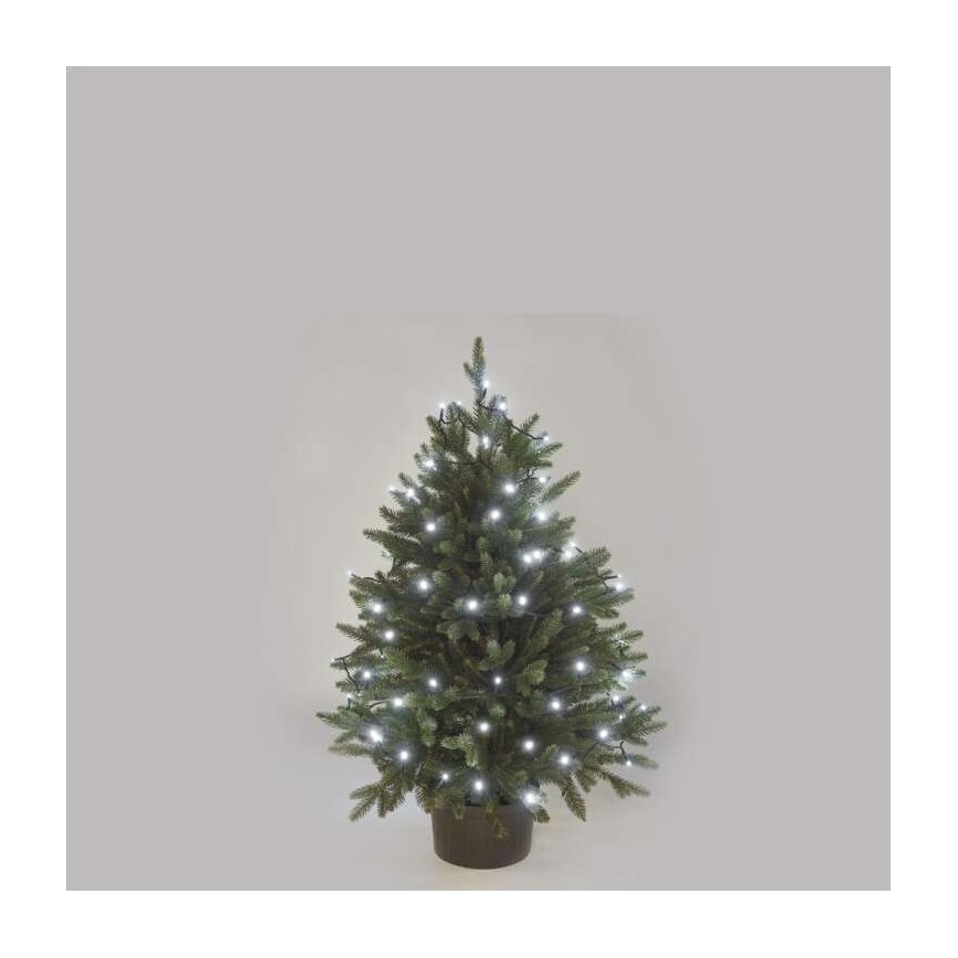 LED Ziemassvētku āra virtene 80xLED/13m IP44 auksti balta