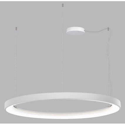 LED2 - LED Aptumšojama lustra ar auklu BELLA LED/80W/230V 3000K/4000K, balta