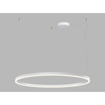 LED2 - LED Aptumšojama lustra ar auklu CIRCLE LED/80W/230V 3000K/4000K d. 100 cm balta