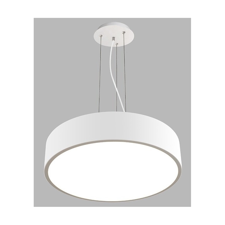 LED2 - LED Aptumšojama lustra ar auklu MONO LED/60W/230V 3000K/4000K balta