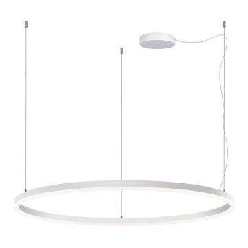 LED2 - LED Aptumšojama lustra ar auklu SATURN LED/80W/230V d. 100 cm, balta