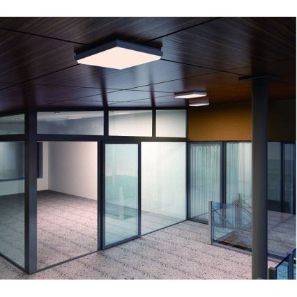 LED2 - LED griestu gaismeklis QUADO LED/25W/230V IP54 kvadrāts