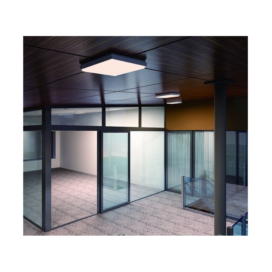 LED2 - LED griestu gaismeklis QUADO LED/25W/230V IP54 kvadrāts