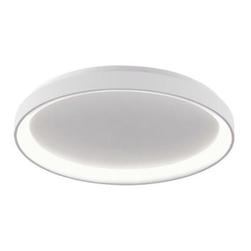 LED2 - LED Griestu lampa BELLA LED/48W/230V 3000K/4000K, balta