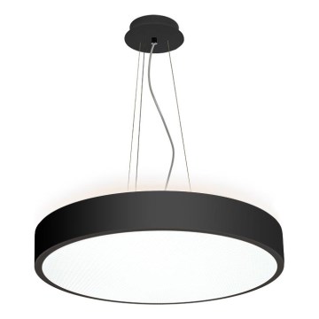 LED2 - LED lustra uz stīgu ROTO LED/48W/230V 2700K/3300K/4000K IP40 melna diametrs 40 cm