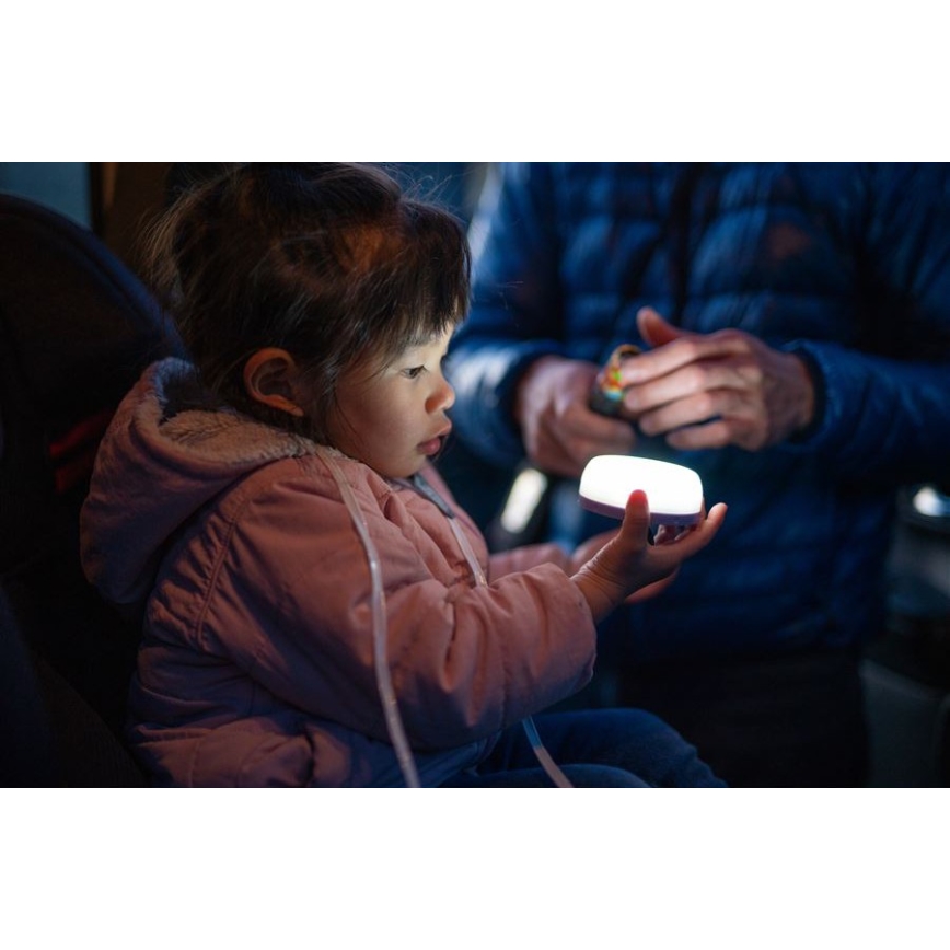 Ledlenser KIDCAMP6 DINO - pārnēsājama LED lampa ar regulējamu spilgtumu, LED/3xAAA, IP44, zaļa