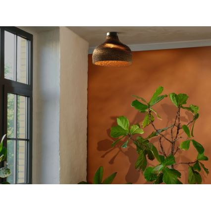 Ledvance - Griestu lampa DECOR CARDBOARD 1xE27/15W/230V d. 36 cm