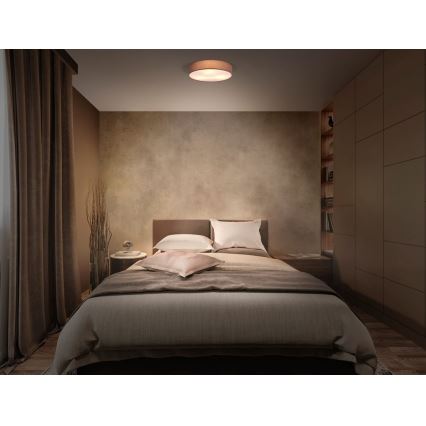 Ledvance - Griestu lampa ORBIS PARĪZE 1xE27/25W/230V brūna