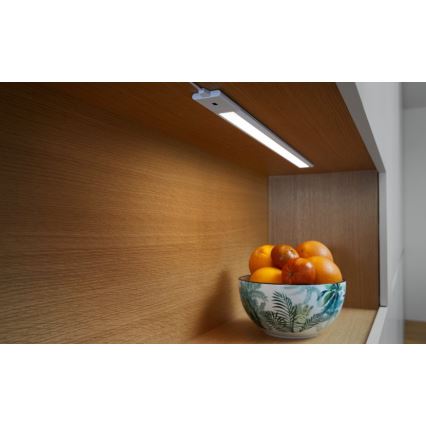 Ledvance - KOMPLEKTS 2x LED Aptumšojama virtuves zem skapīša lampa ar sensoru CABINET LED/18W/230V