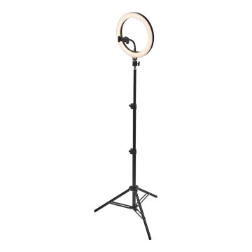 Ledvance - LED Aptumšojama grīdas stāvlampa ar statīvu un vlogošanas turētājs LED/6W/USB 3000/4000/6500K