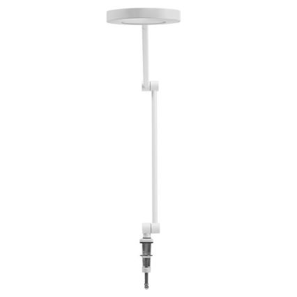 Ledvance - LED Aptumšojama lampa ar fiksatoru SUN@HOME LED/15W/230V 2200-5000K CRI 95 Wi-Fi