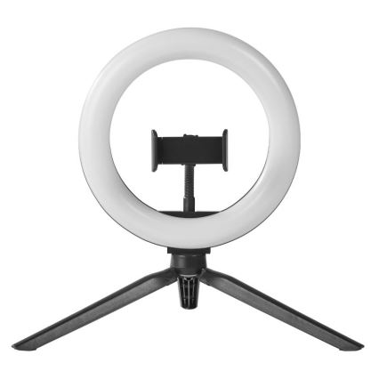 Ledvance - LED Aptumšojama galda lampa ar statīvu un vlogošanas turētājs LED/5,5W/USB 3000/4000/6500K