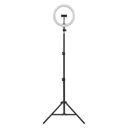 Ledvance - LED Aptumšojama grīdas stāvlampa ar statīvu un vlogošanas turētājs LED/6W/USB 3000/4000/6500K