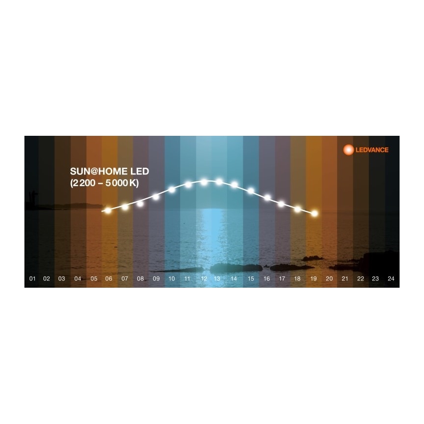 Ledvance - LED Aptumšojama grīdas stāvlampa SUN@HOME LED/36W/230V 2200-5000K CRI 95 Wi-Fi