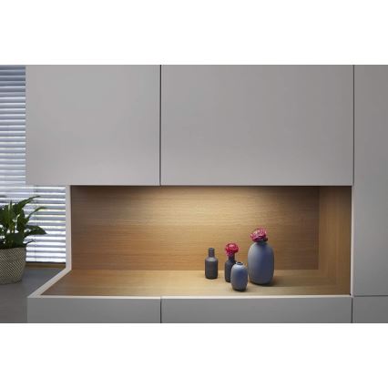 Ledvance - LED Aptumšojams zem korpusa gaismas ar sensoru CABINET LED/14W/230V