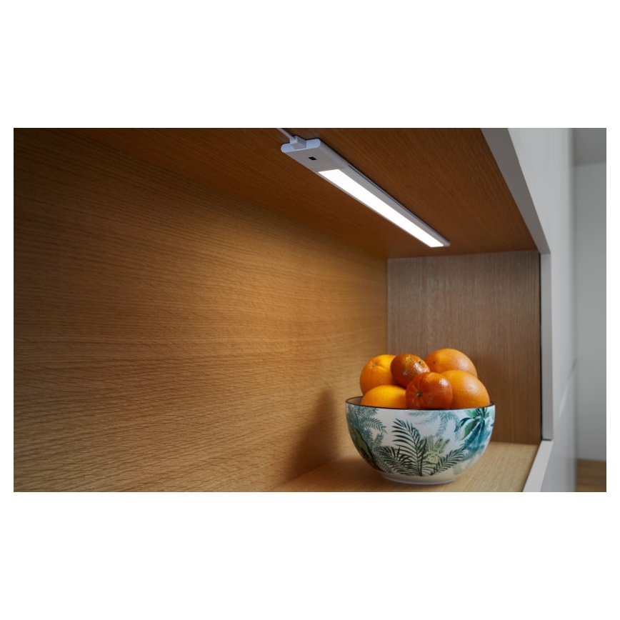 Ledvance - LED Aptumšojams zem korpusa gaismas ar sensoru CABINET LED/6W/230V